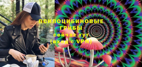 хмурый Краснотурьинск