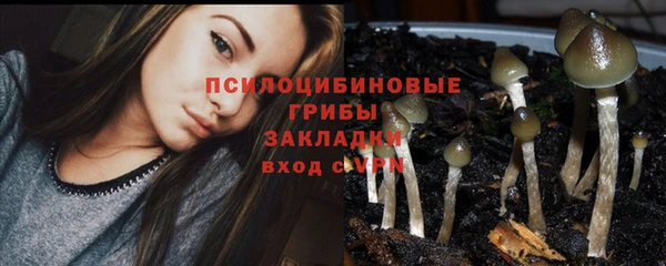 хмурый Краснотурьинск