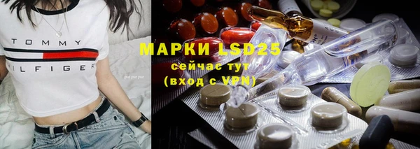 шишки Кукмор